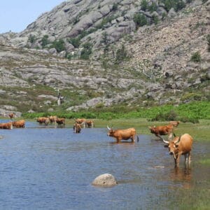 Peneda Gerês National Park