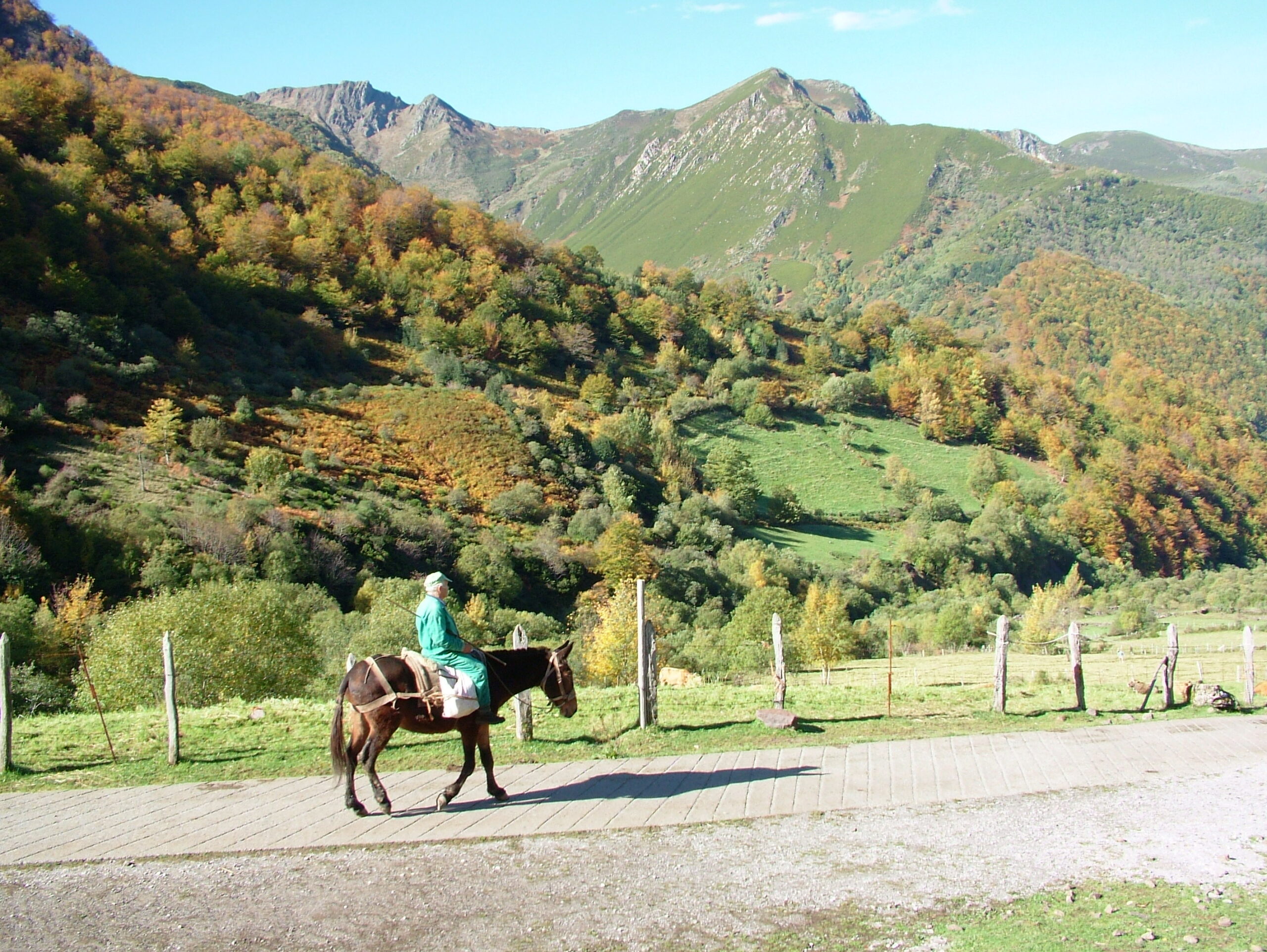 Reserva de la biosfera tours (6)