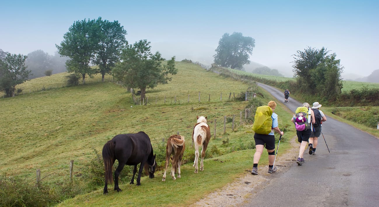 Villavante to Astorga