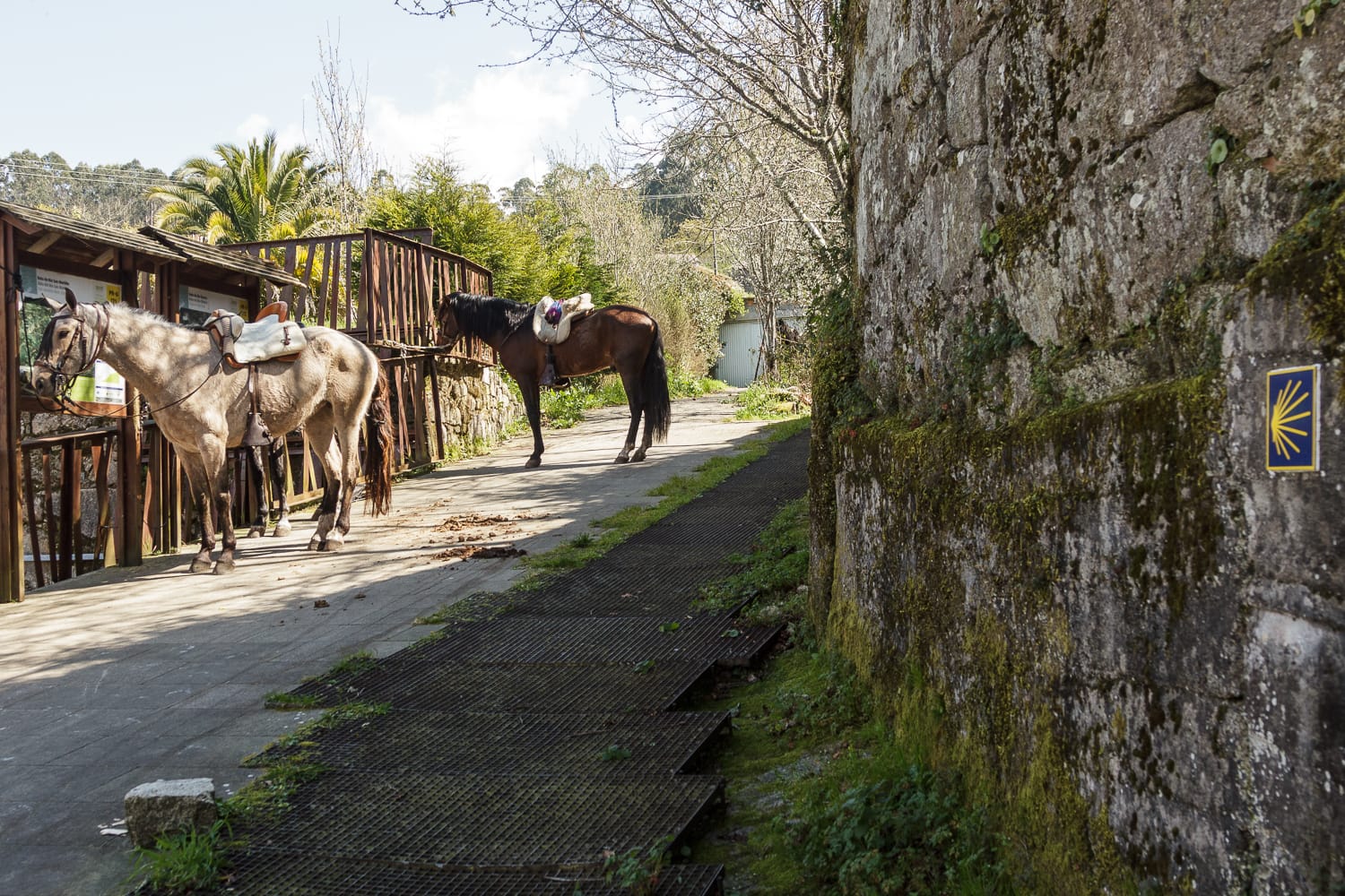 camino variante espiritual (1)
