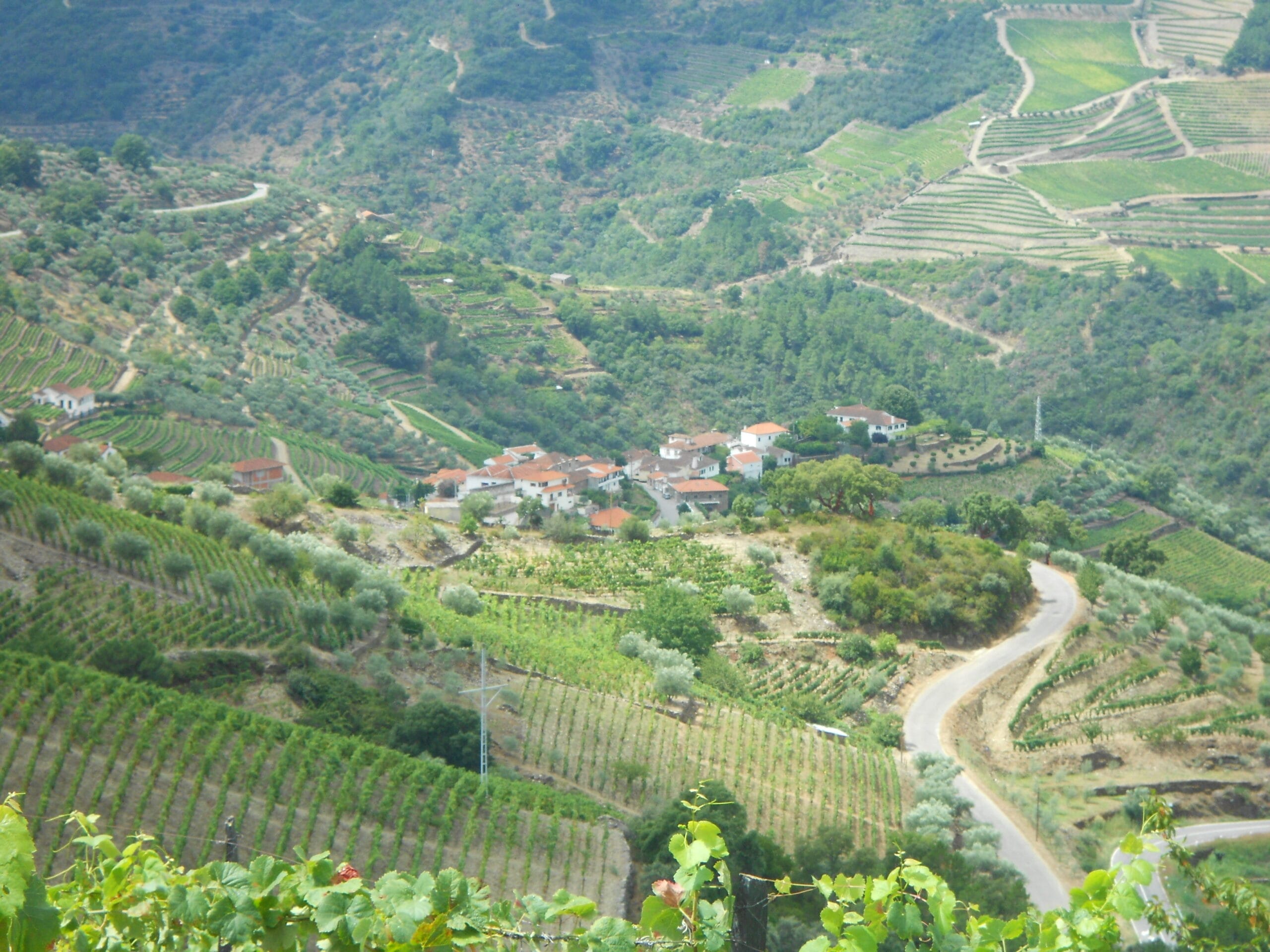 hIKE VAL DO DOURO (4)