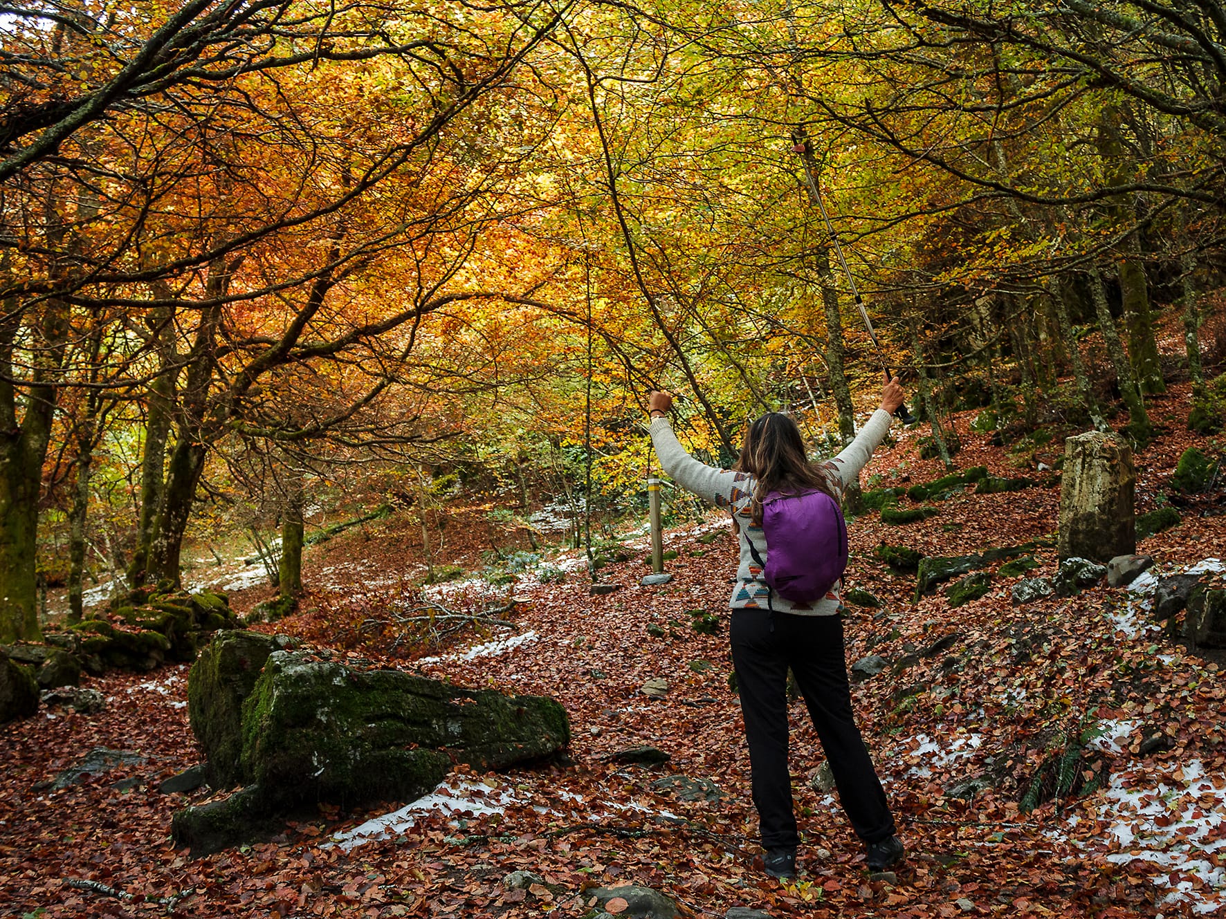 Bercianos del Real Camino to Mansilla de las Mulas