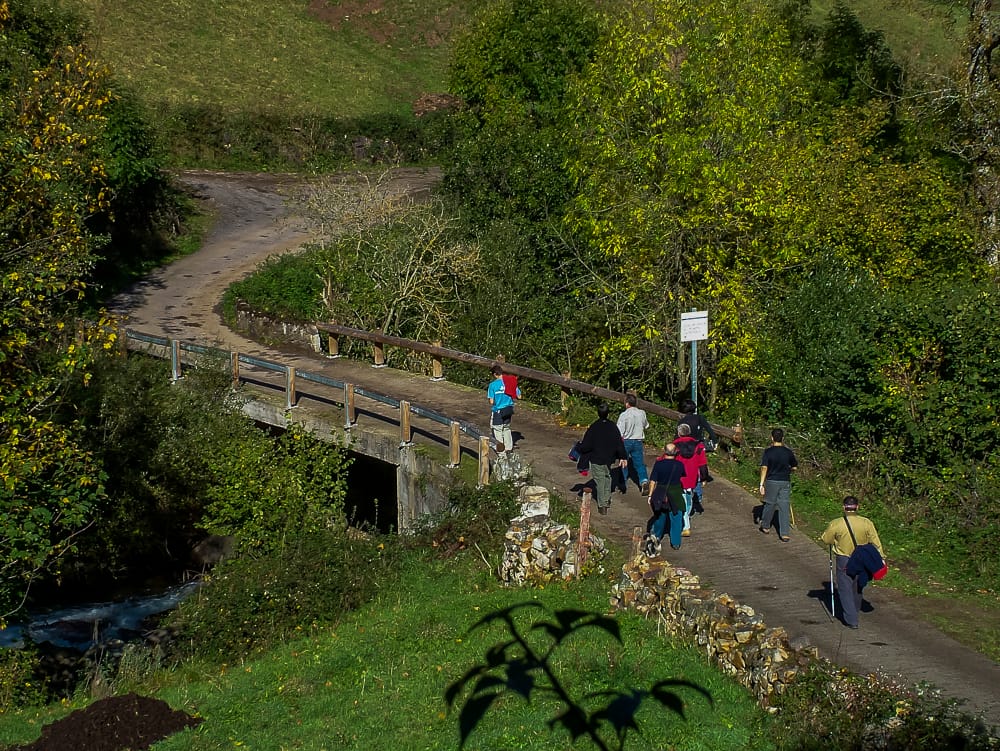 RESERVA DE LA BIOSFERA (10)