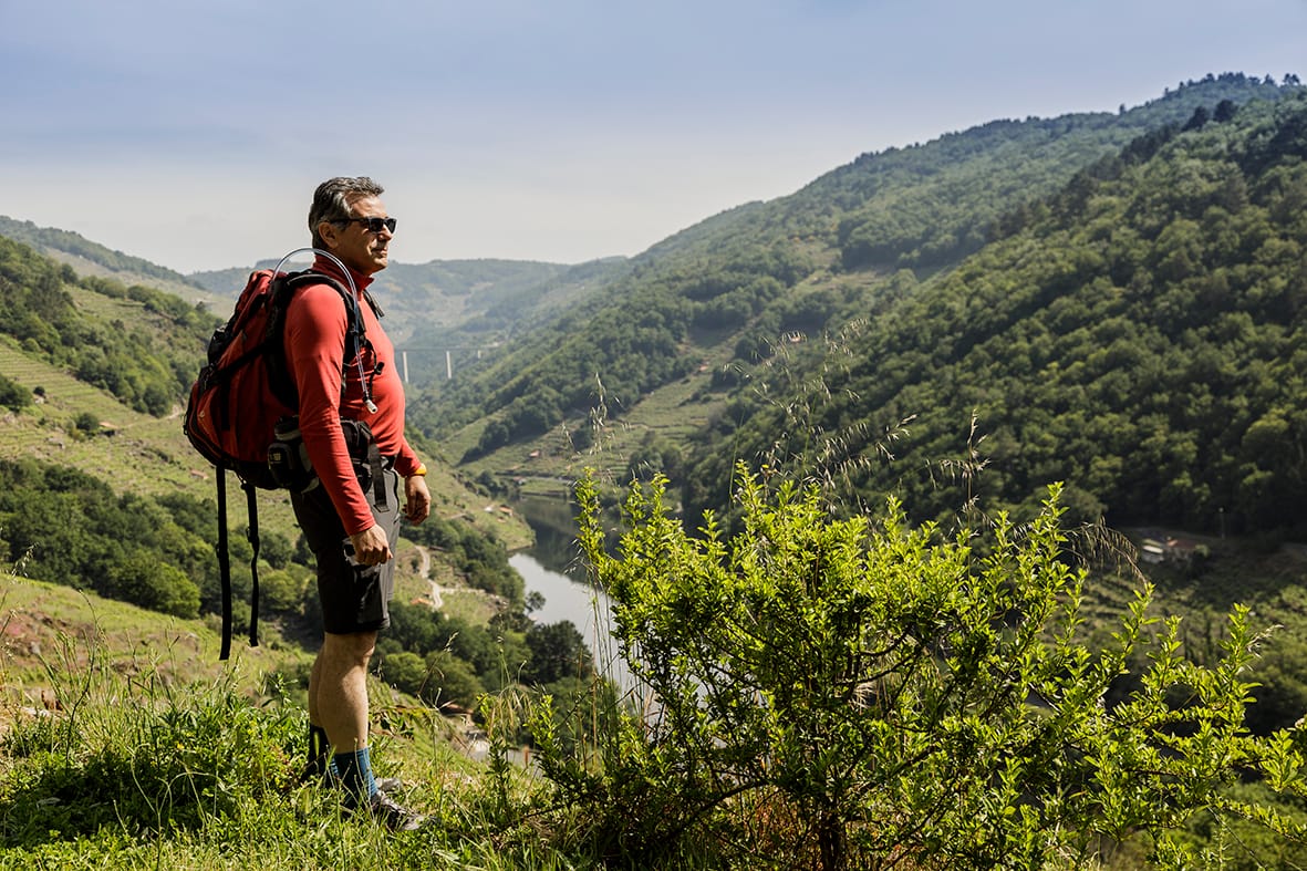 Arzúa to O Pedrouzo