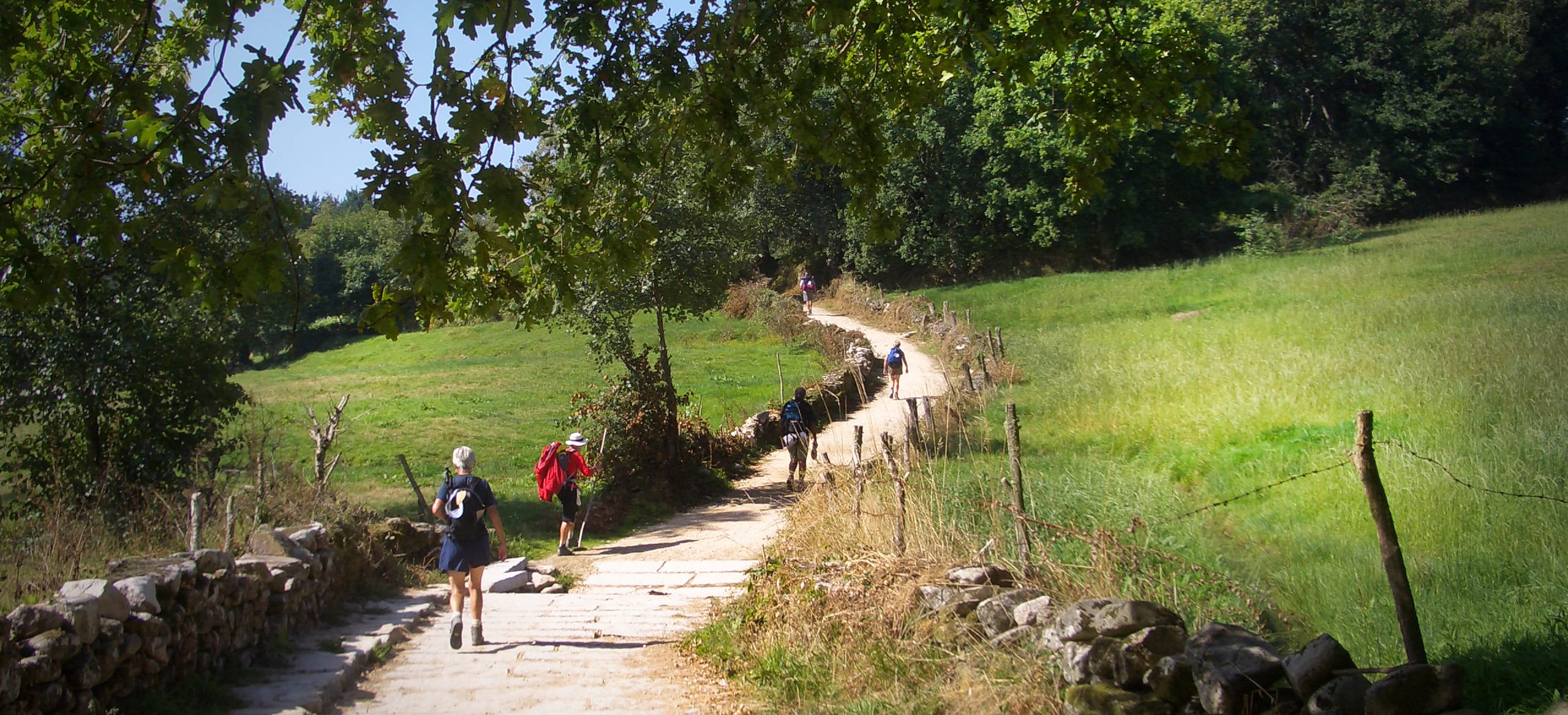 Terradillos de los Templarios to Bercianos del Real Camino