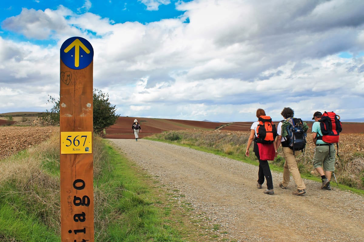 Camino Santiago (9)_1