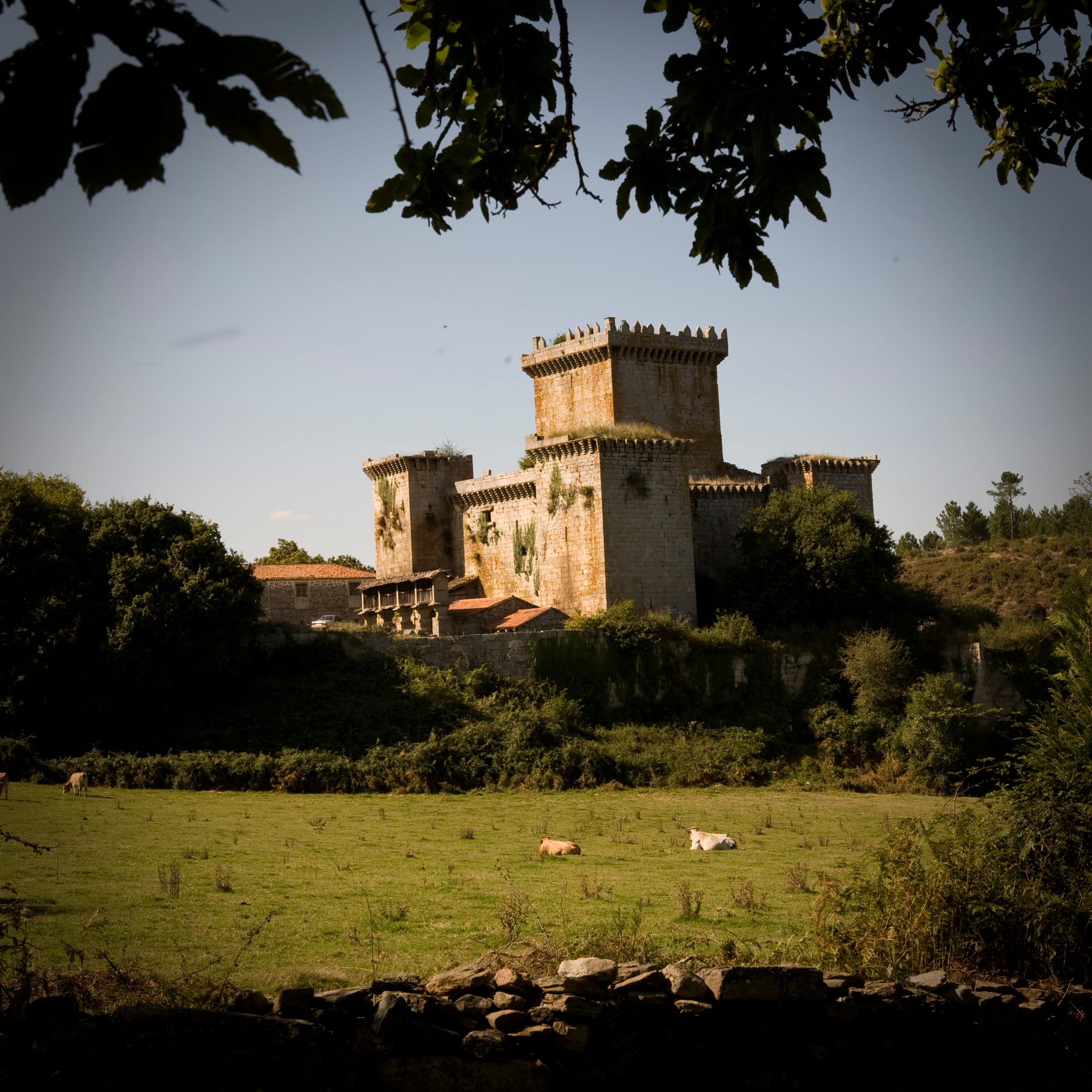 tour Camino frances Premium (6)