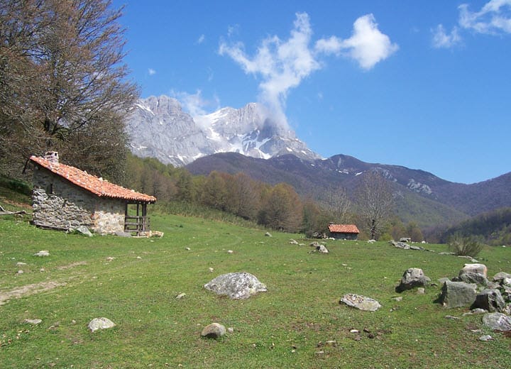 Picos de Europa
