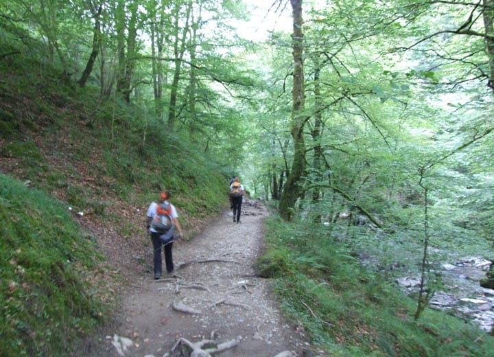 Senderismo Bosques de Larrau
