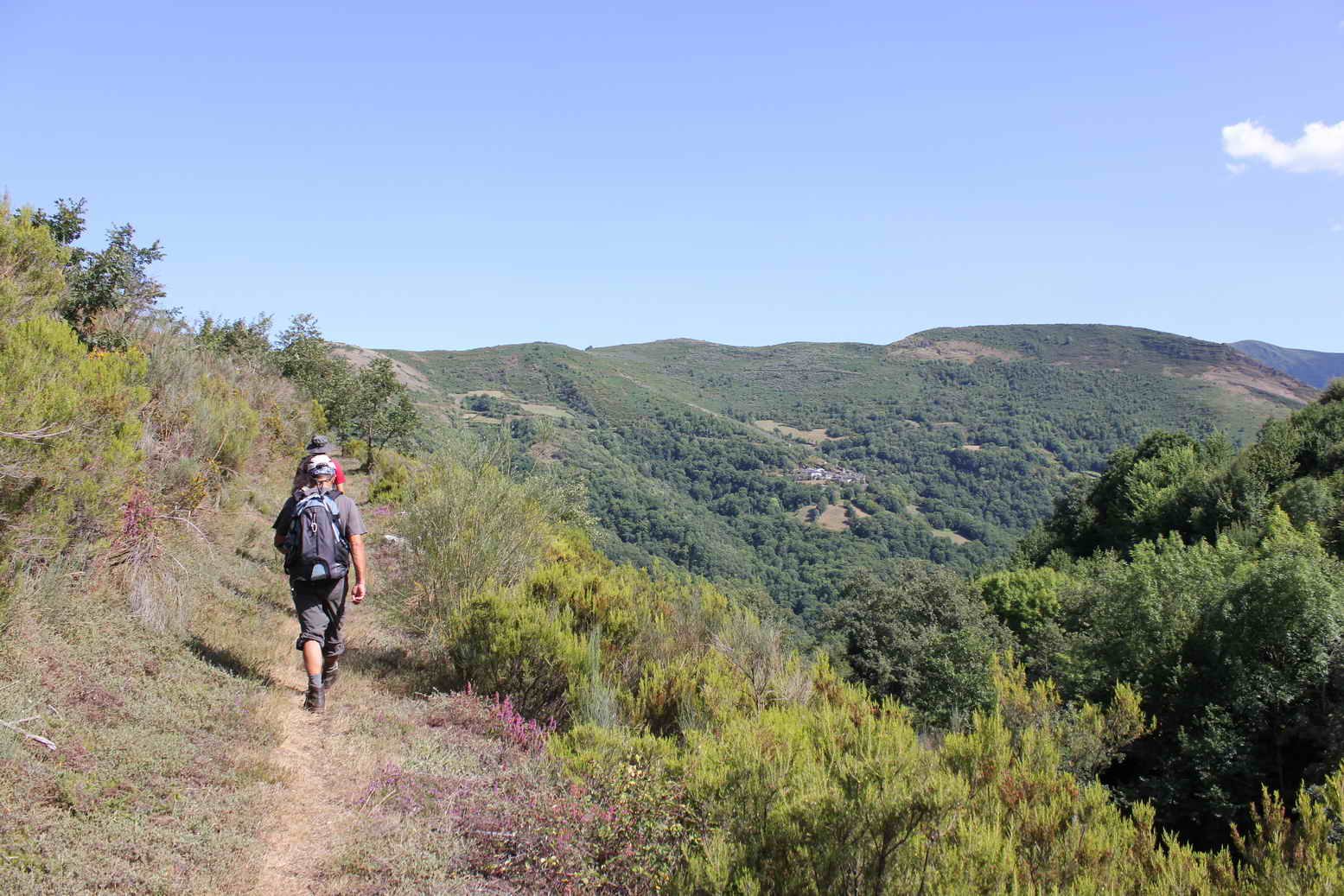 Carrión de los Condes to Terradillos de los Templarios