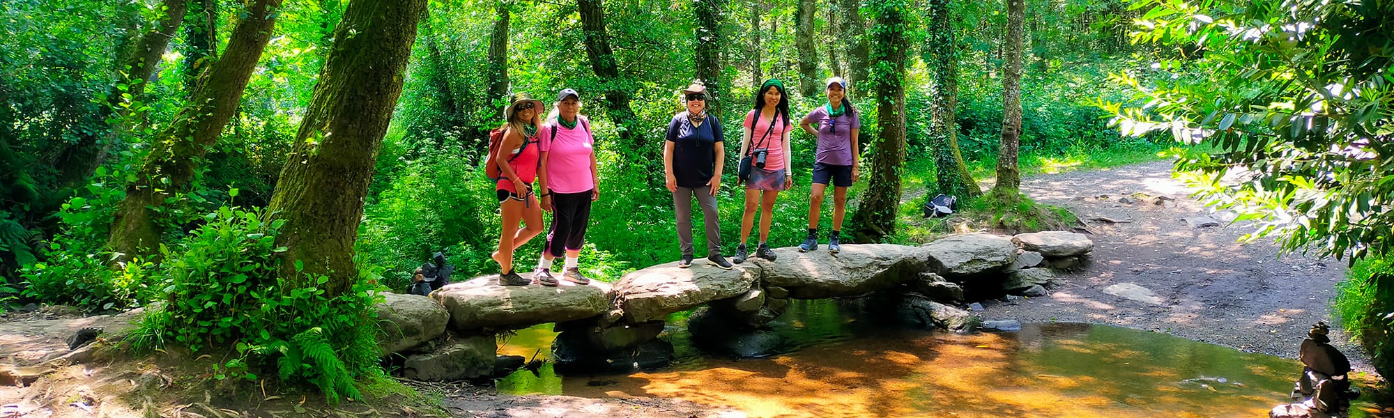 custom groups camino de santiago