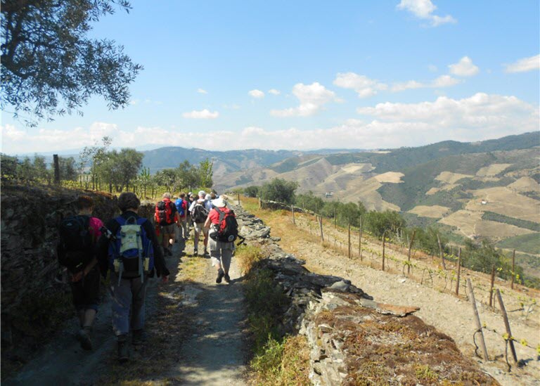 Hiking Tabuaço