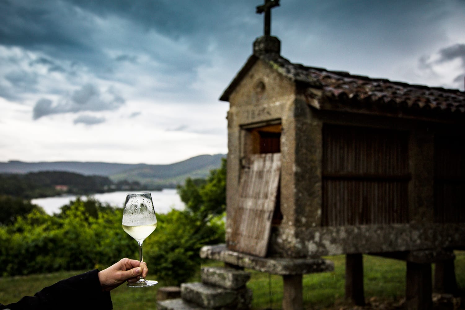 wine & food tours 006