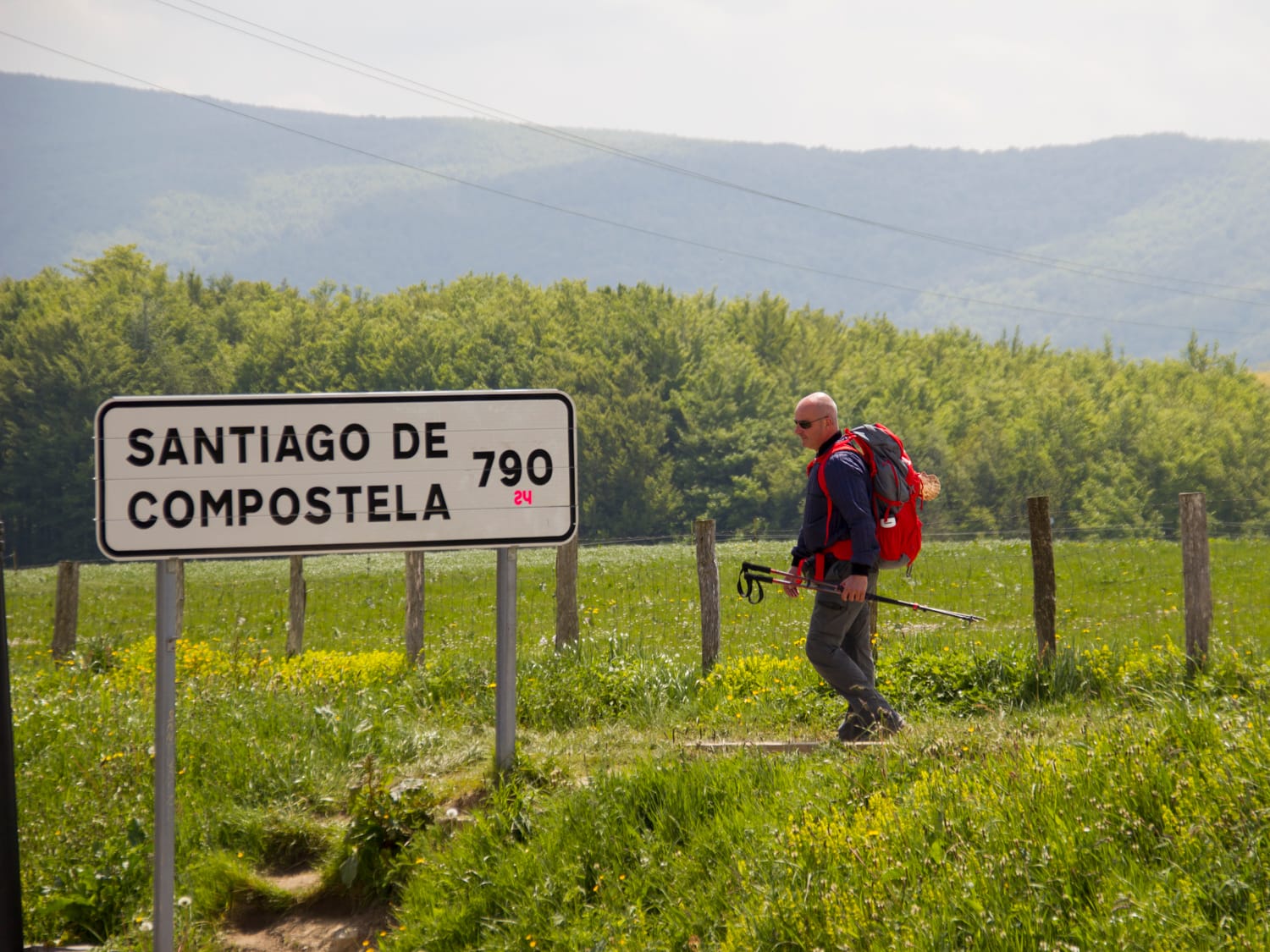 O Pedrouzo to Santiago de Compostela