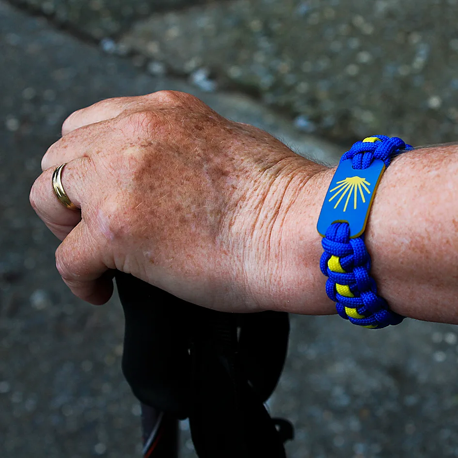 Pontevedra to Caldas de Reis