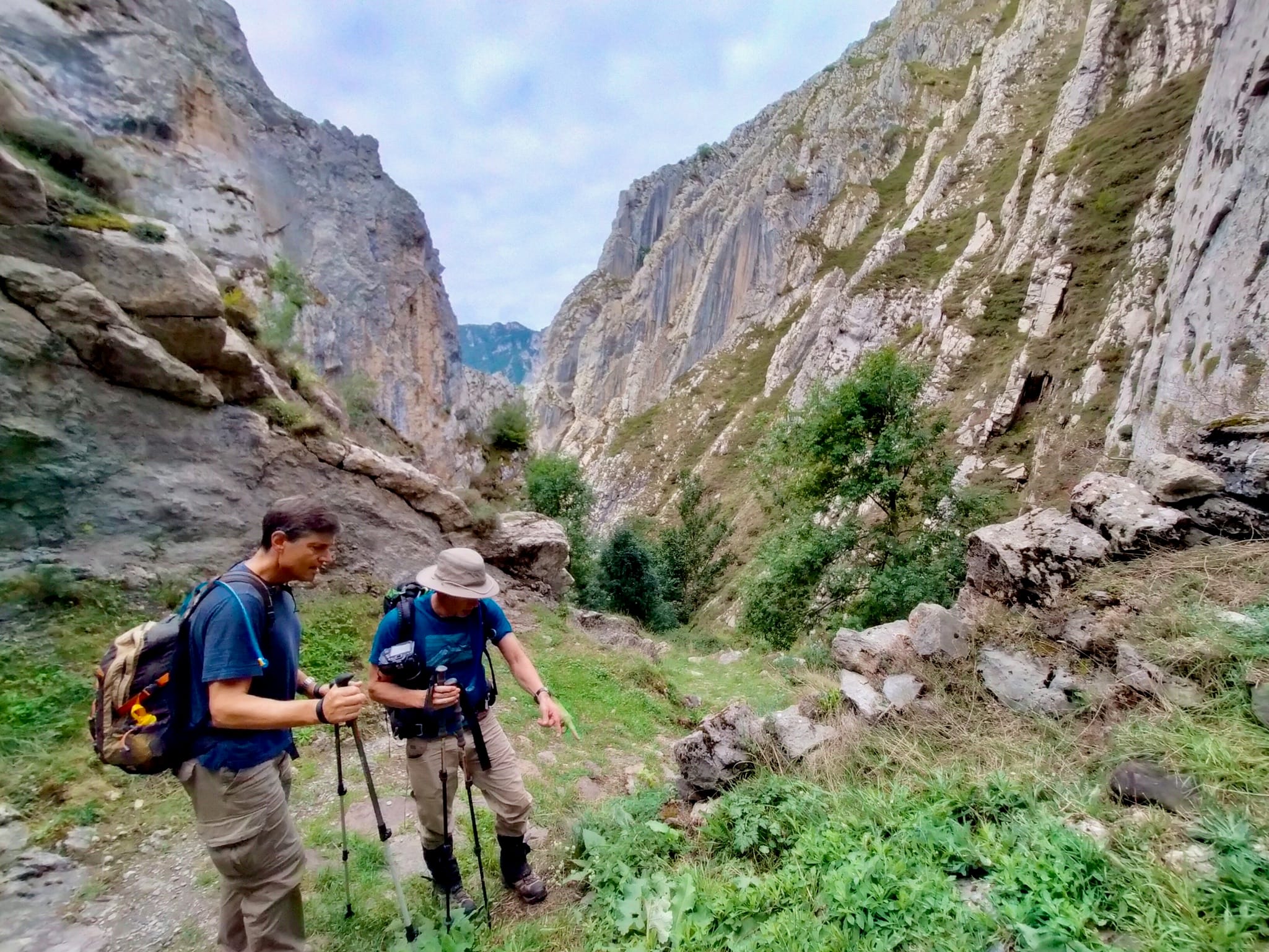 Santo Domingo de la Calzada to Belorado