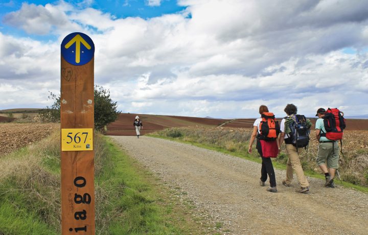 Camino Santiago (9)_1
