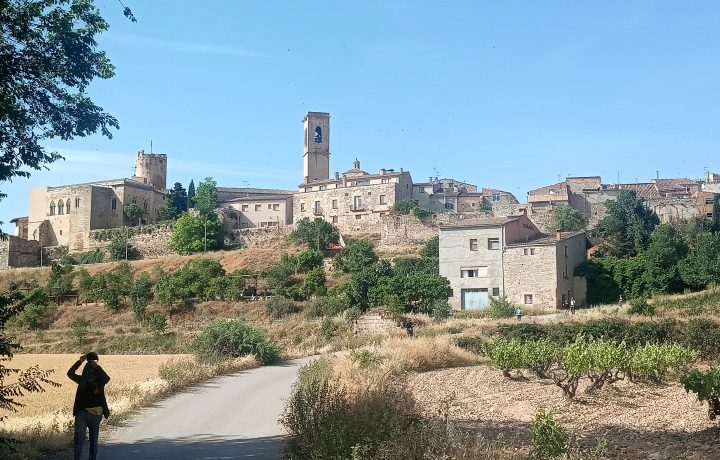img 20220530 100904
