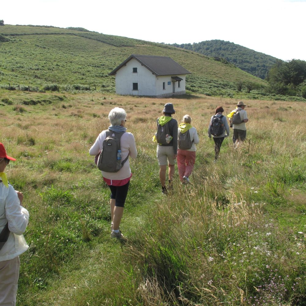 camino frances historia