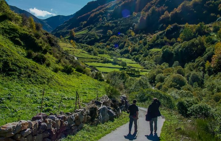 RESERVA DE LA BIOSFERA (7)