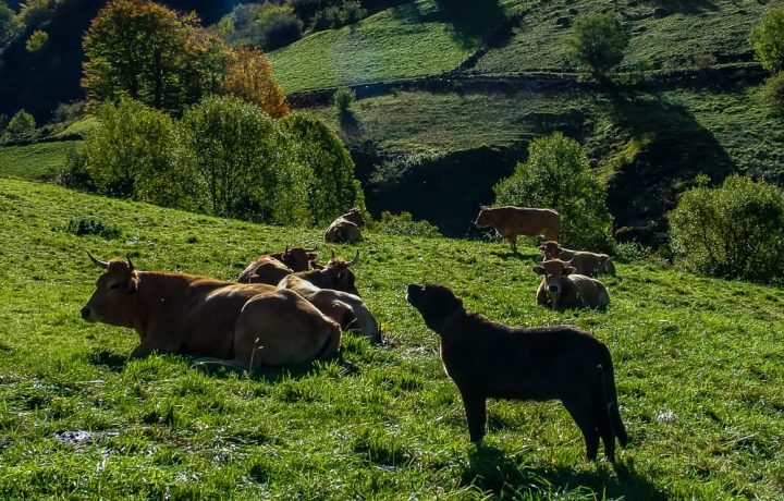 RESERVA DE LA BIOSFERA (8)