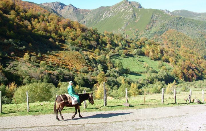 Reserva de la biosfera tours (6)