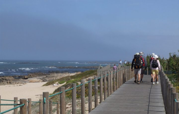 camino PORTUGUES DE LA COSTA (6)