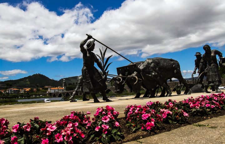 camino portugués (10)_1