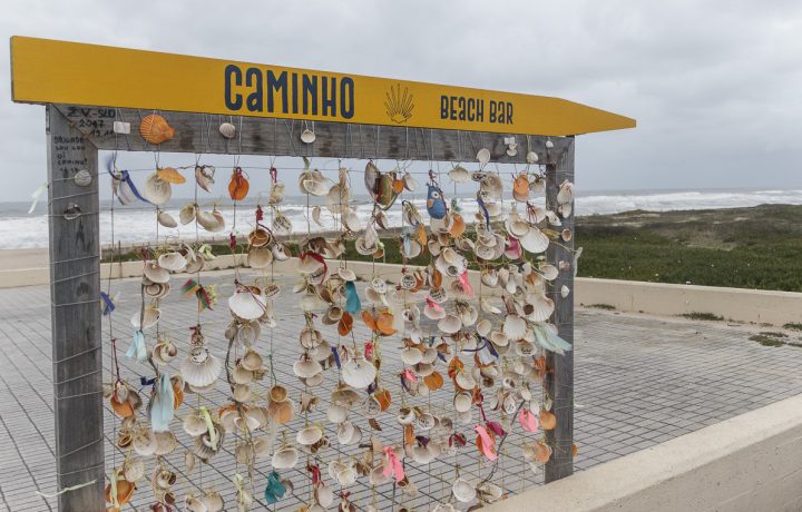 camino portugues de la costa (14)