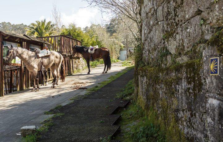 camino variante espiritual (1)