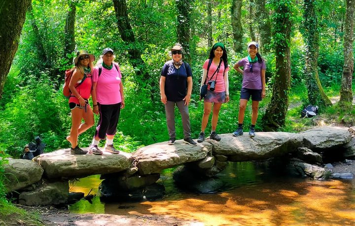 custom groups camino de santiago