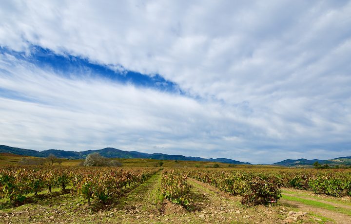 dsc7890