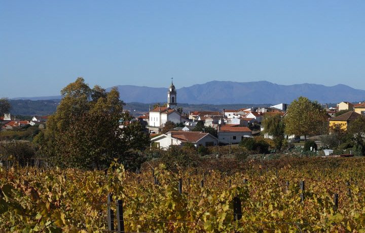 favaios - Douro