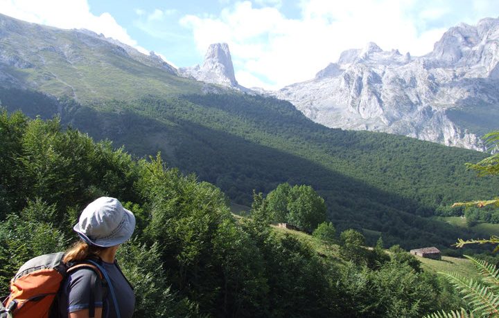 Bulnes