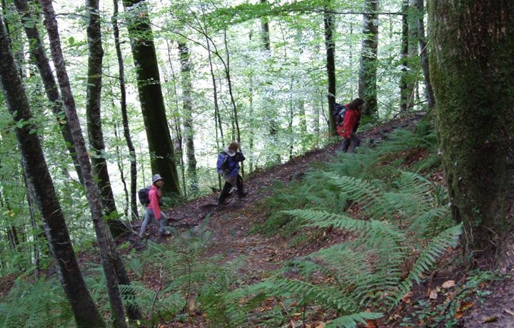 Hiking in the Holzarte area