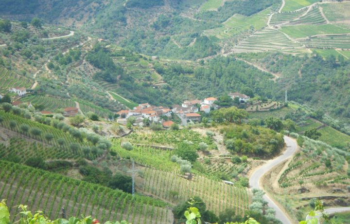 hIKE VAL DO DOURO (4)