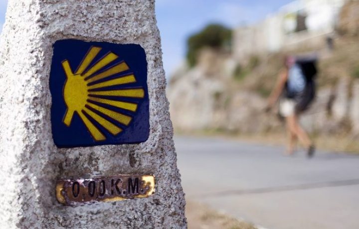 mojon camino santiago