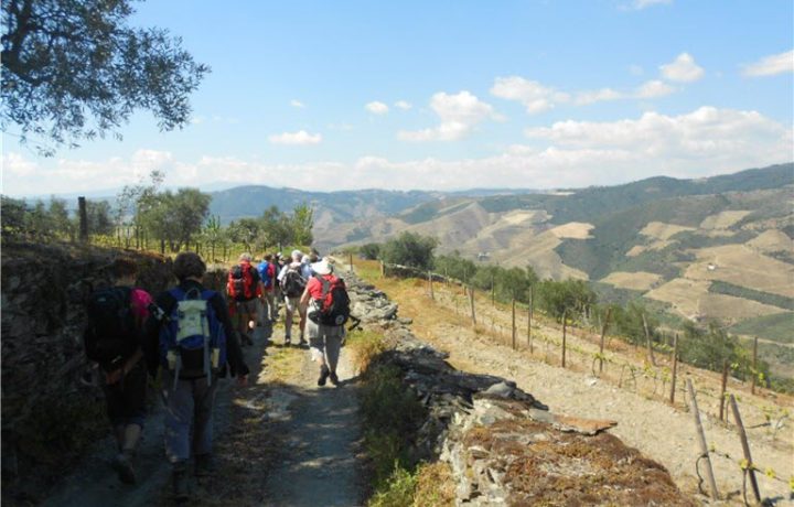Hiking Tabuaço