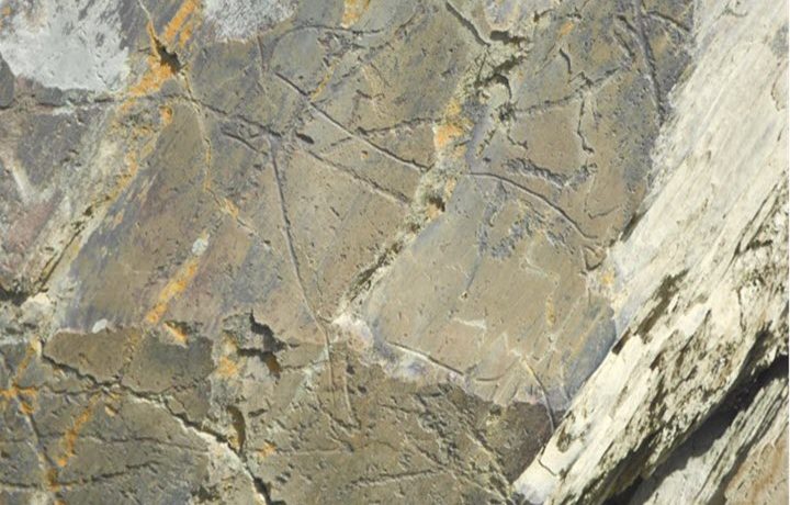 Rock Engraving Côa