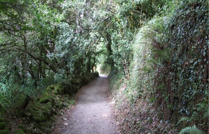 picture7