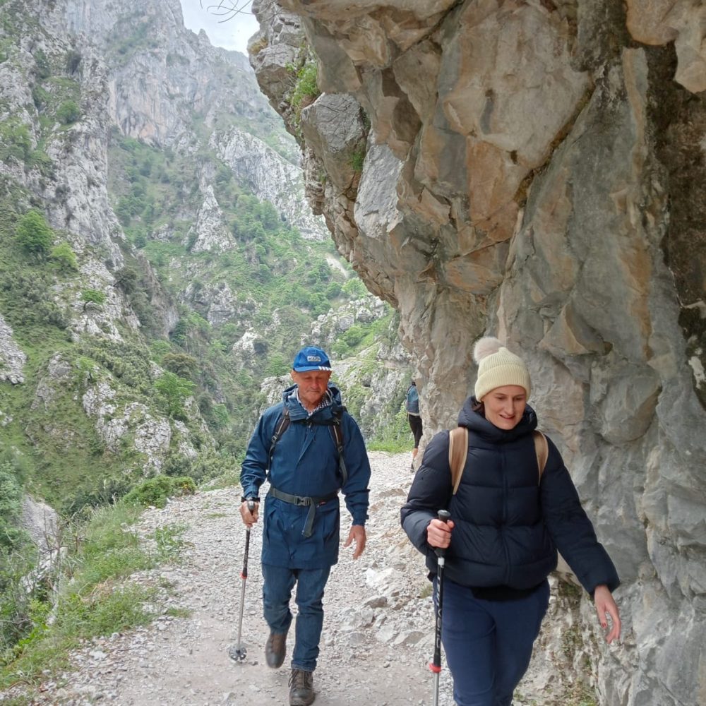 camino frances historia