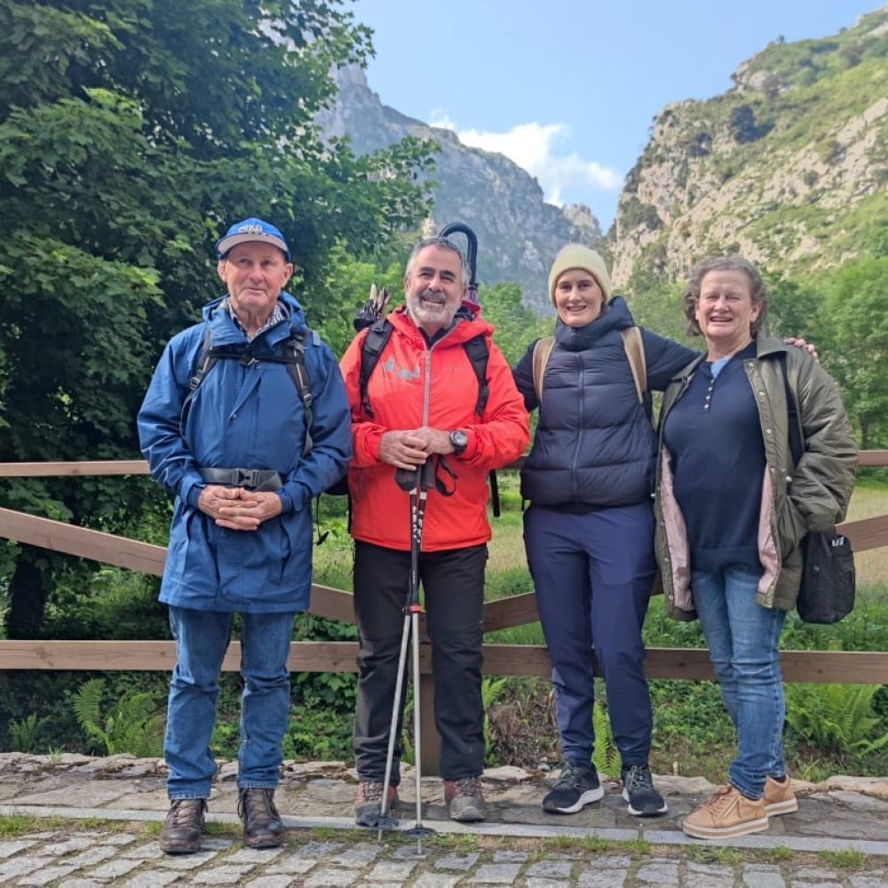 camino frances historia