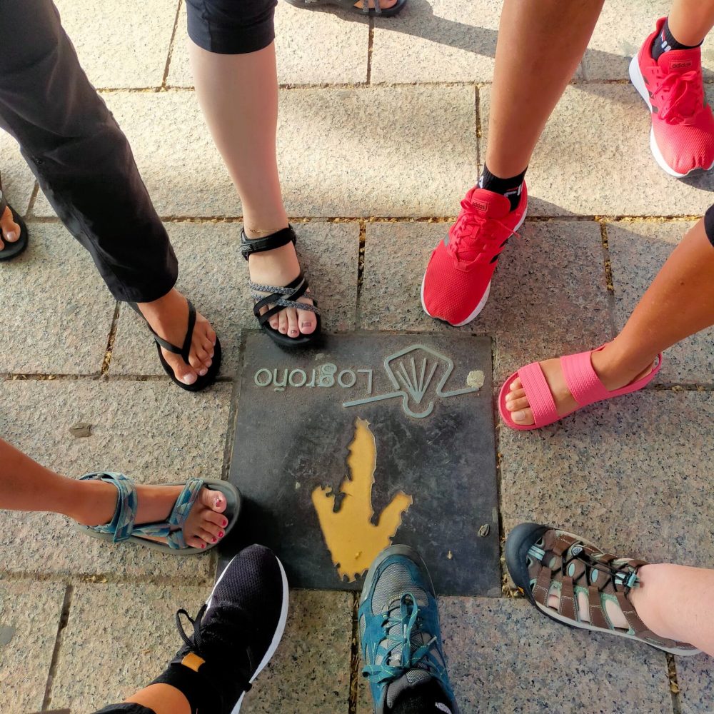 camino frances historia