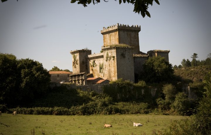 tour Camino frances Premium (6)