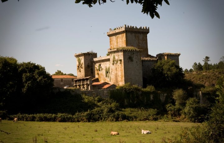 tour Camino frances Premium (6)