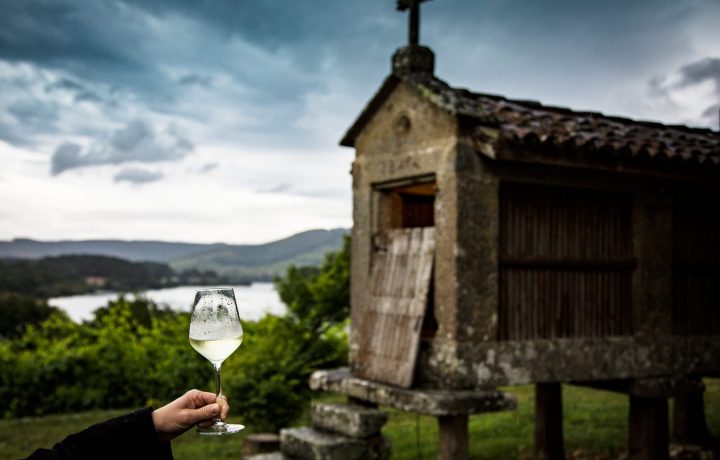 wine & food tours 006